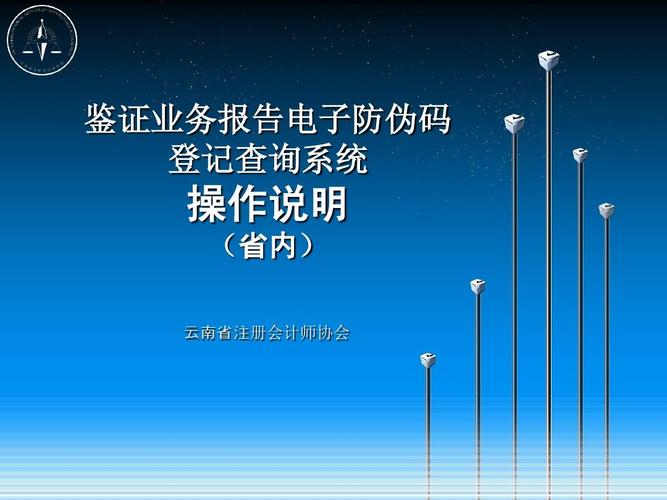 业务报告电子防伪码 登记查询系统 操作说明