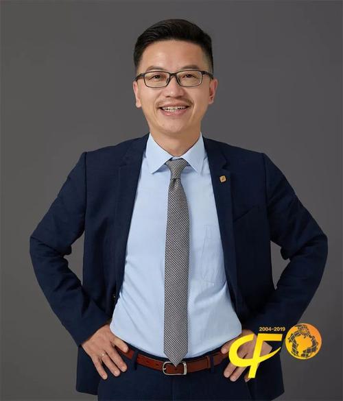 财务|会计师|cfo|注册会计师