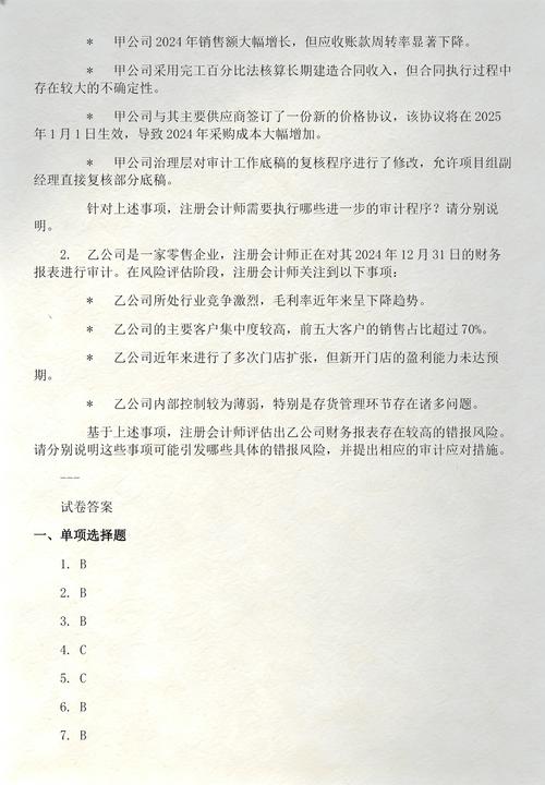 2025年注册会计师审计测试试卷精选版