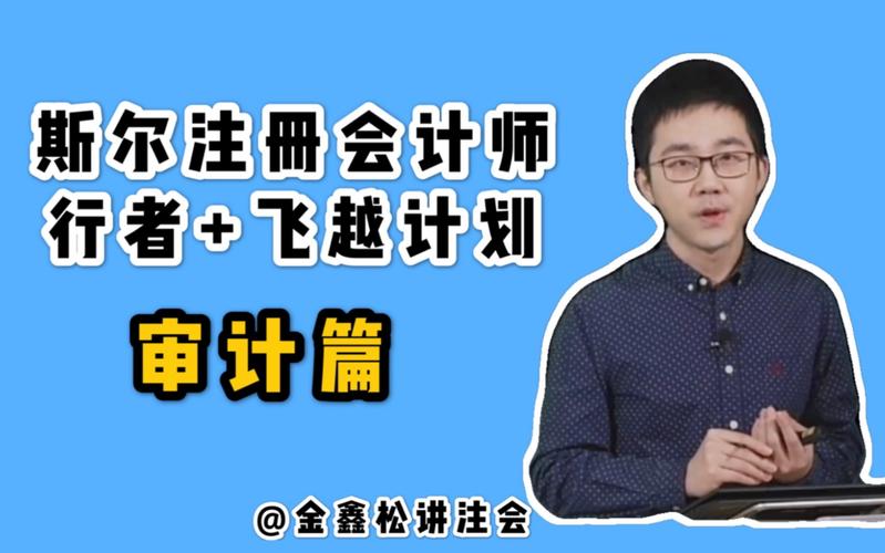 注册会计师的业务类型